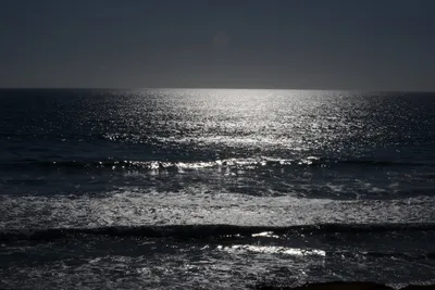 DSC_6913 (Large).JPG